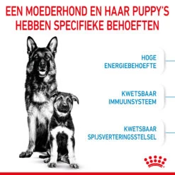 Royal Canin Maxi Starter Mother & Babydog - Hondenvoer -Honden Benodigdheden Winkel royal canin maxi starter mother babydog hondenvoer 206858 2000 none