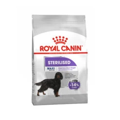 Royal Canin Maxi Sterilised - Hondenvoer -Honden Benodigdheden Winkel royal canin maxi sterilised hondenvoer 132650 2000 none