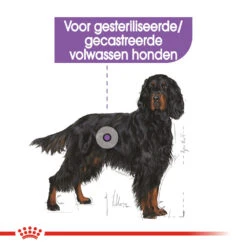 Royal Canin Maxi Sterilised - Hondenvoer -Honden Benodigdheden Winkel royal canin maxi sterilised hondenvoer 132668 1000 none