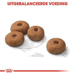 Royal Canin Maxi Sterilised - Hondenvoer -Honden Benodigdheden Winkel royal canin maxi sterilised hondenvoer 132686 1000 none