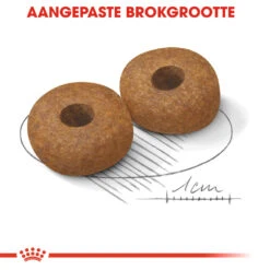 Royal Canin Medium Ageing 10+ - Hondenvoer -Honden Benodigdheden Winkel royal canin medium ageing 10 hondenvoer 128828 1000 none