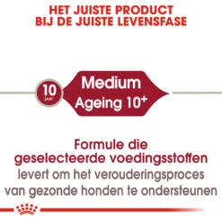 Royal Canin Medium Ageing 10+ - Hondenvoer -Honden Benodigdheden Winkel royal canin medium ageing 10 hondenvoer 144851 1000 none