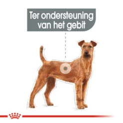 Royal Canin Medium Dental Care - Hondenvoer -Honden Benodigdheden Winkel royal canin medium dental care hondenvoer 144206 1000 none
