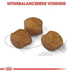 Royal Canin Medium Dental Care - Hondenvoer -Honden Benodigdheden Winkel royal canin medium dental care hondenvoer 144209 1000 none