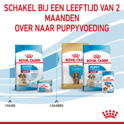 Royal Canin Medium Starter Mother & Babydog - Hondenvoer -Honden Benodigdheden Winkel royal canin medium starter mother babydog hondenvoer 206909 2000 none