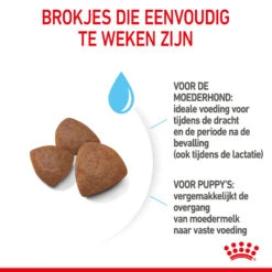 Royal Canin Medium Starter Mother & Babydog - Hondenvoer -Honden Benodigdheden Winkel royal canin medium starter mother babydog hondenvoer 206912 2000 none