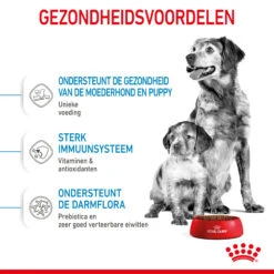 Royal Canin Medium Starter Mother & Babydog - Hondenvoer -Honden Benodigdheden Winkel royal canin medium starter mother babydog hondenvoer 206915 2000 none