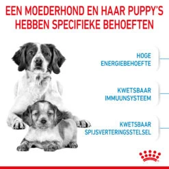 Royal Canin Medium Starter Mother & Babydog - Hondenvoer -Honden Benodigdheden Winkel royal canin medium starter mother babydog hondenvoer 206918 2000 none