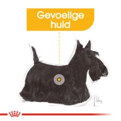 Royal Canin Dermacomfort Mini - Hondenvoer -Honden Benodigdheden Winkel royal canin mini dermacomfort hondenvoer 132983 1000 none