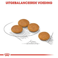 Royal Canin Dermacomfort Mini - Hondenvoer -Honden Benodigdheden Winkel royal canin mini dermacomfort hondenvoer 133001 1000 none