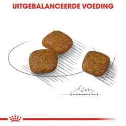 Royal Canin Mini Urinary Care - Hondenvoer -Honden Benodigdheden Winkel royal canin mini urinary care hondenvoer 131078 1000 none