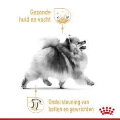 Royal Canin Pomeranian Adult - Hondenvoer -Honden Benodigdheden Winkel royal canin pomeranian adult hondenvoer 168921 2000 none