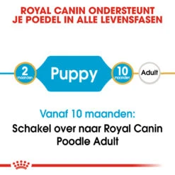 Royal Canin Poodle Puppy - Hondenvoer -Honden Benodigdheden Winkel royal canin poodle puppy hondenvoer 139732 1000 none