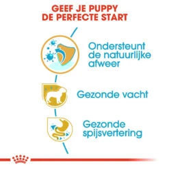 Royal Canin Poodle Puppy - Hondenvoer -Honden Benodigdheden Winkel royal canin poodle puppy hondenvoer 139750 1000 none