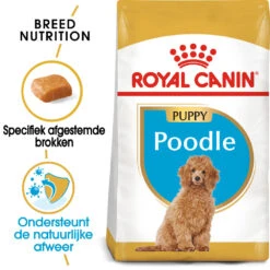 Honden Benodigdheden Winkel -Honden Benodigdheden Winkel royal canin poodle puppy hondenvoer 139795 1000 none