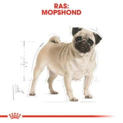 Royal Canin Pug Adult - Hondenvoer -Honden Benodigdheden Winkel royal canin pug adult hondenvoer 139804 1000 none