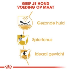 Royal Canin Pug Adult - Hondenvoer -Honden Benodigdheden Winkel royal canin pug adult hondenvoer 139822 1000 none