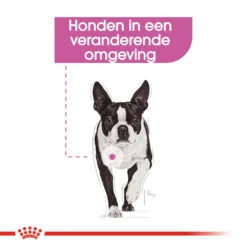 Royal Canin Relax Care Wet - Hondenvoer -Honden Benodigdheden Winkel royal canin relax care wet hondenvoer 131372 1000 none