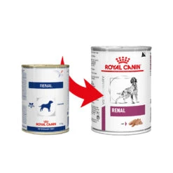 Royal Canin Renal Hond - Blik 8 Royal Canin Renal Hond - Blik -Honden Benodigdheden Winkel royal canin renal hond 164548 1000 none