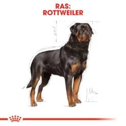 Royal Canin Rottweiler Adult - Hondenvoer -Honden Benodigdheden Winkel royal canin rottweiler adult hondenvoer 139942 1000 none