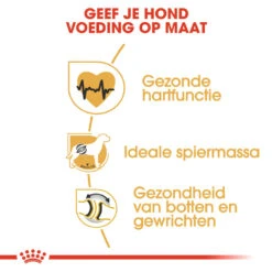 Royal Canin Rottweiler Adult - Hondenvoer -Honden Benodigdheden Winkel royal canin rottweiler adult hondenvoer 139960 1000 none