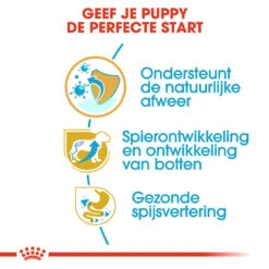 Royal Canin Rottweiler Puppy - Hondenvoer -Honden Benodigdheden Winkel royal canin rottweiler puppy hondenvoer 140026 1000 none