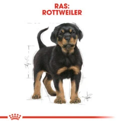 Royal Canin Rottweiler Puppy - Hondenvoer -Honden Benodigdheden Winkel royal canin rottweiler puppy hondenvoer 140035 1000 none