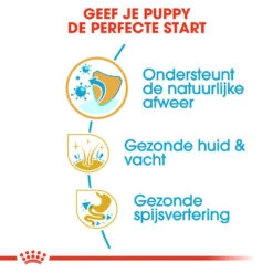Royal Canin Shih Tzu Puppy - Hondenvoer -Honden Benodigdheden Winkel royal canin shih tzu junior hondenvoer 140408 1000 none