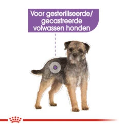 Royal Canin Sterilised Wet - Hondenvoer 13 Royal Canin Sterilised Wet - Hondenvoer -Honden Benodigdheden Winkel royal canin sterilised wet hondenvoer 131561 1000 none