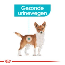 Royal Canin Urinary Care Wet - Hondenvoer -Honden Benodigdheden Winkel royal canin urinary care wet hondenvoer 131930 1000 none
