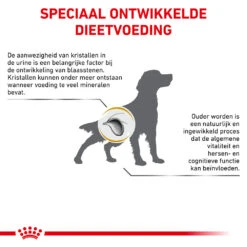 Royal Canin Urinary S/O Ageing 7+ Hond -Honden Benodigdheden Winkel royal canin urinary so ageing 7 hond 153751 1000 none