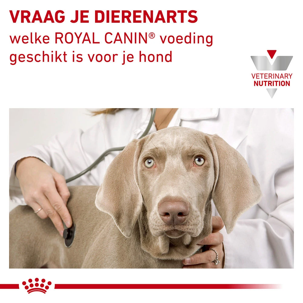 Royal Canin Urinary S/O Hond 13 Royal Canin Urinary S/O Hond - Afbeelding 13