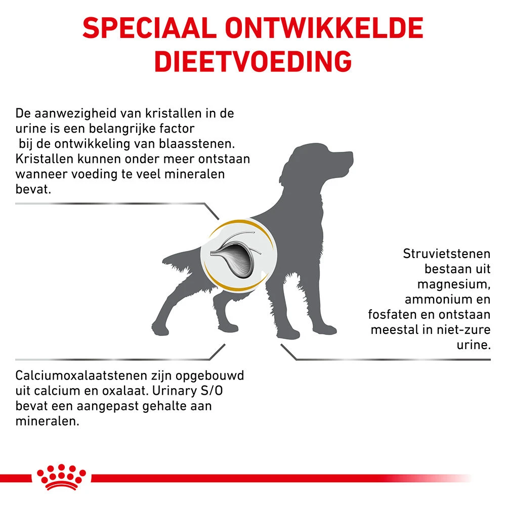 Royal Canin Urinary S/O Hond 11 Royal Canin Urinary S/O Hond - Afbeelding 11