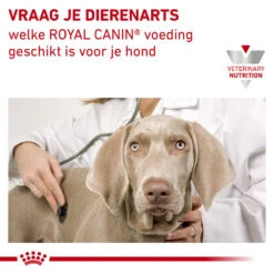 Royal Canin Urinary S/O Small Dog -Honden Benodigdheden Winkel royal canin urinary so small dog 153706 1000 none