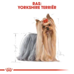 Royal Canin Yorkshire Terrier Adult - Hondenvoer 18 Royal Canin Yorkshire Terrier Adult - Hondenvoer -Honden Benodigdheden Winkel royal canin yorkshire terrier adult hondenvoer 140720 1000 none