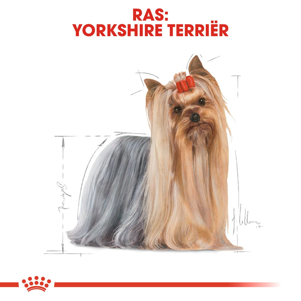 Royal Canin Yorkshire Terrier Adult - Hondenvoer 7 Royal Canin Yorkshire Terrier Adult - Hondenvoer - Afbeelding 7