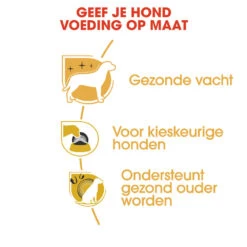 Royal Canin Yorkshire Terrier Adult - Hondenvoer 16 Royal Canin Yorkshire Terrier Adult - Hondenvoer -Honden Benodigdheden Winkel royal canin yorkshire terrier adult hondenvoer 140738 1000 none