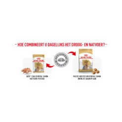 Royal Canin Yorkshire Terrier Adult - Hondenvoer 19 Royal Canin Yorkshire Terrier Adult - Hondenvoer -Honden Benodigdheden Winkel royal canin yorkshire terrier adult hondenvoer 173293 1500 none