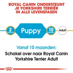 Royal Canin Yorkshire Terrier Puppy - Hondenvoer -Honden Benodigdheden Winkel royal canin yorkshire terrier puppy hondenvoer 140783 1000 none