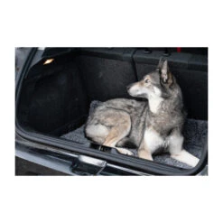 Royal Dry Doormat 16 Royal Dry Doormat -Honden Benodigdheden Winkel royal dry doormat 187417 2000 none