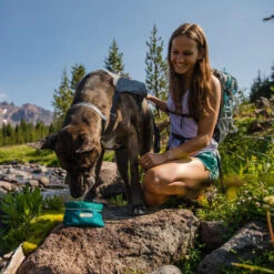 Ruffwear Flat Out Dog Collar - Alpenglow Burst -Honden Benodigdheden Winkel ruffwear flat out dog collar alpenglow burst 204812 0500 none