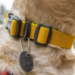 Ruffwear Hi & Light Collar -Honden Benodigdheden Winkel ruffwear hi light collar 194258 1000 none