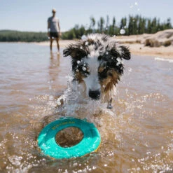 Ruffwear Hydro Plane Floating Throw Toy -Honden Benodigdheden Winkel ruffwear hydro plane floating throw toy 200822 2000 none