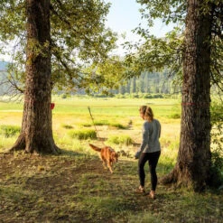 Ruffwear Knot-a-Hitch -Honden Benodigdheden Winkel ruffwear knot a hitch 124643 0500 none