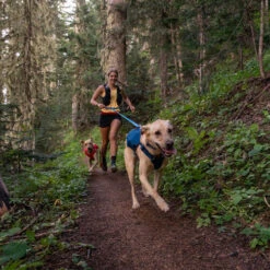 Ruffwear Roamer Leash - Blue Atoll -Honden Benodigdheden Winkel ruffwear roamer leash blue atoll 204797 0500 none
