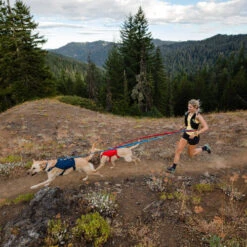 Ruffwear Roamer Leash - Blue Atoll -Honden Benodigdheden Winkel ruffwear roamer leash blue atoll 204800 0500 none