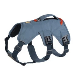 Ruffwear Webmaster Harness -Honden Benodigdheden Winkel ruffwear web master harness lxl slate blue 133869 2000 none