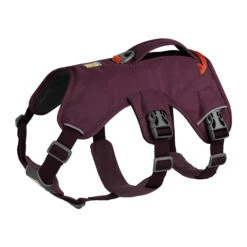 Ruffwear Webmaster Harness -Honden Benodigdheden Winkel ruffwear web master harness xs purple rain 133854 2000 none