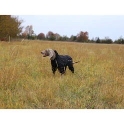 RukkaPets Protect Overall Zwart -Honden Benodigdheden Winkel rukkapets protect overall zwart 216401 2000 none
