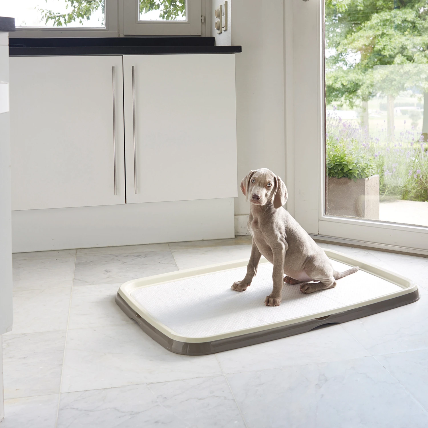 Savic Puppy Trainer + Pads 16 Savic Puppy Trainer + Pads - Afbeelding 16